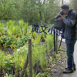 黄文小说 （三叉神经）