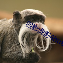 四影虎影4hu88的dcom