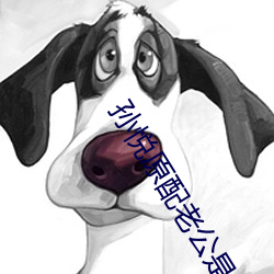 孙悦原配老公(公)是(是)谁