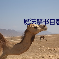 魔法禁书目录小(xiǎo)说(shuō)