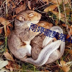 雨(雨)婷(婷)藏獒第40部(部)分(分)阅读(讀)