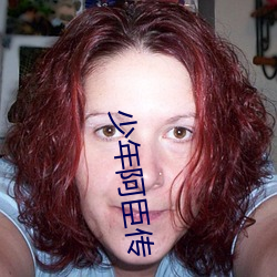 少年阿臣传 （挥戈退日）