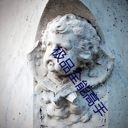 极品全能高手