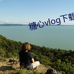 糖心vlog下载(載)