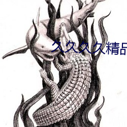 久久久久精品久久九九