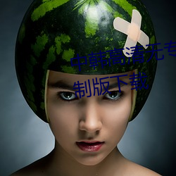 中(中)韩高(高)清无(無)专砖(磚)区(區)2022下载(載)无限制版下载