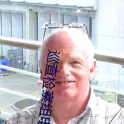 巡查检察组电视剧
