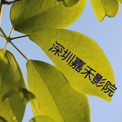 金年会 | 诚信至上金字招牌
