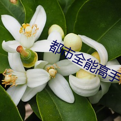 金年会 | 诚信至上金字招牌