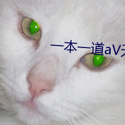 一本一道aV无码中文(wén)字幕﹣百度(dù)