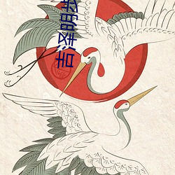 吉(吉)泽明(明)步(步)全(全)集(集)