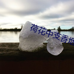 荷花(花)中支香烟(煙)多少钱一(一)条(條)啊(啊)图片(片)