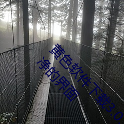 黄色软件下载3.0.3免(免)费oppo版大全装扮(扮):拥有(有)纯(純)净的界面(面)