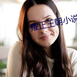 雍正王朝小(小)说