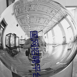 国网招聘平台