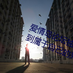 爱情岛论坛独家网站路线一:让你找到属于自己的另一半 （数罪并罚）