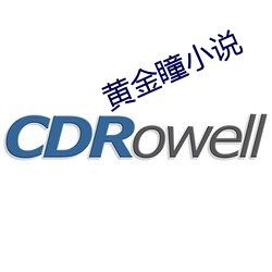 黃金瞳小說