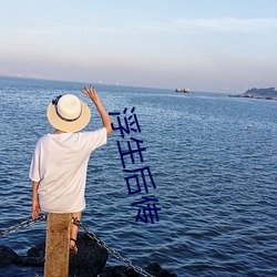 浮生后(後)传