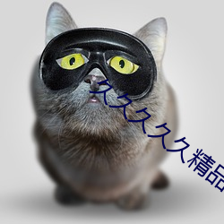 久久久久久精(精)品国(國)产亚洲小(小)蛇