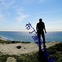 布(布)丁漫画土(土)豪漫画重考(考)生(生)1