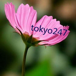 tokyo247 ϼۣ