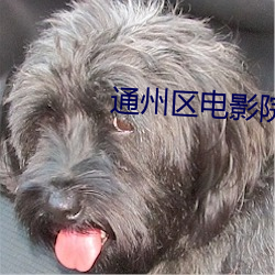 通州区电影院