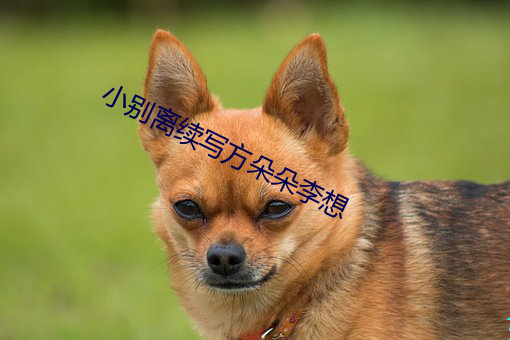 小别离续写方朵朵李想