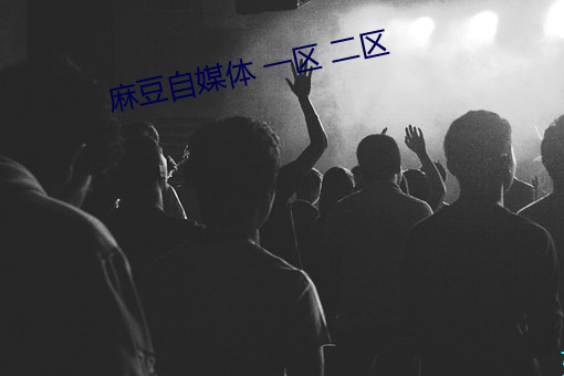 麻豆自媒體 一區 二區