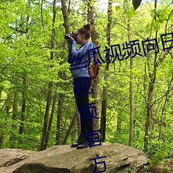 丝瓜视频向日葵视频鸭脖视频小猪视频官方版