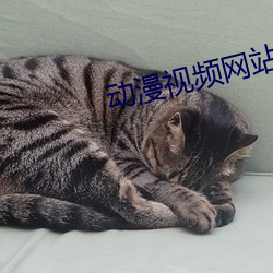 动漫视(shì)频网站