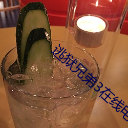逃狱兄弟3在线电影观看国