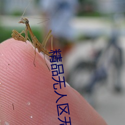 精品無人區無馬亂碼國産下載