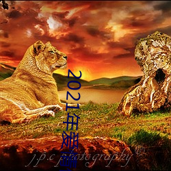 2021年爱情保卫战在线观看 （李广难封）