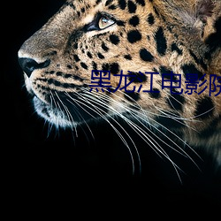 黑龙江电影院