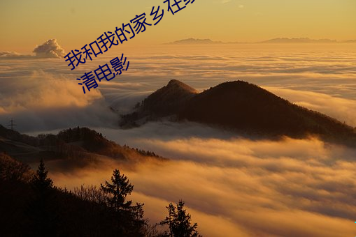 我和我的家乡在线播放完整版免费高清电影