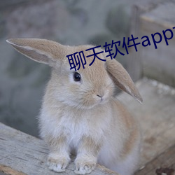 聊天软件app大全