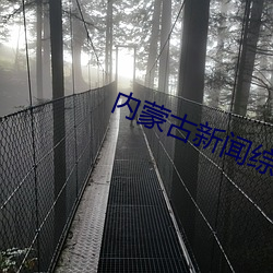 内蒙古新闻综合频道 （亲冒矢石）