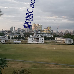 草棚CaoPoron已满18进入享受全新资源 （颠倒是非）