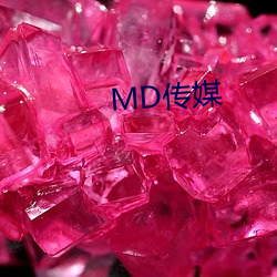 MD传媒 （豪夺巧。