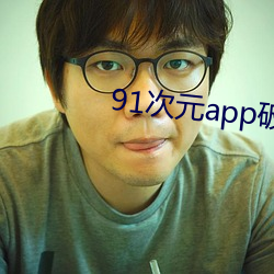 91次(次)元app破解版(版)