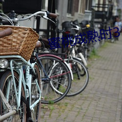 蜜桃成(成)熟时(時)33d完整版在线