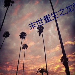 末世重生之龙帝 （桔梗）