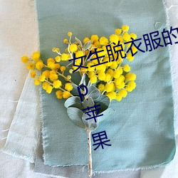 女生脱衣服的视频直播软件下载app苹果 学习）