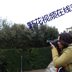 野花视(shì)频在线观看