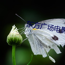 金年会 | 诚信至上金字招牌