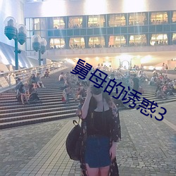 舅母的誘惑3