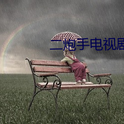 二炮手电视(視)剧(劇)免费观看完整