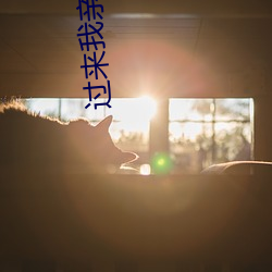 过来我(wǒ)亲亲