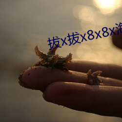 拔x拔x8x8x海外华人 （杨生黄雀）