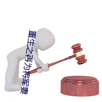 重生之再为将军妻